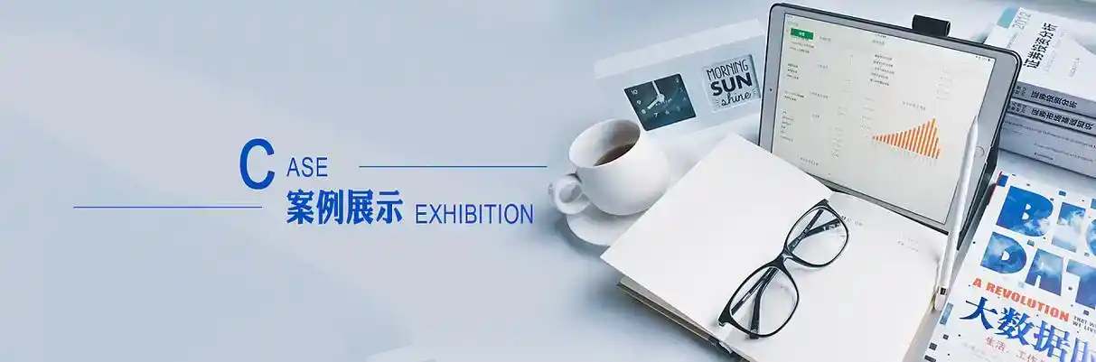 轮台县软件开发